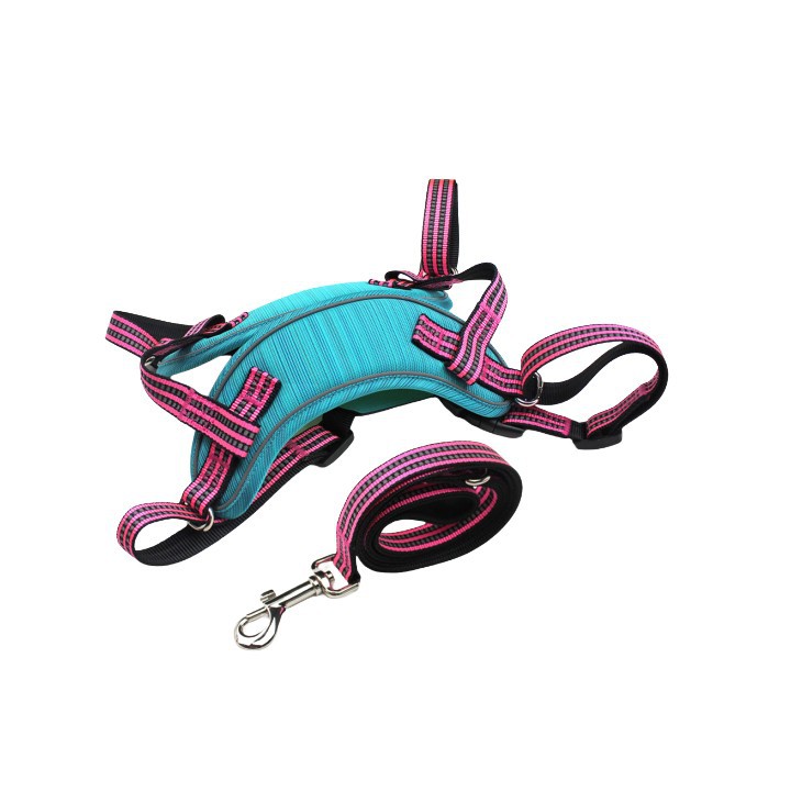 Custom No Pull Dog Harness and Leash Set