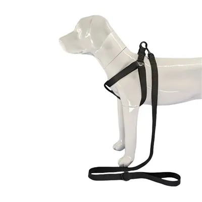 Juodojo šuns pakinktai