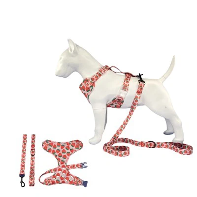 Mergaitės šunų pakinktai