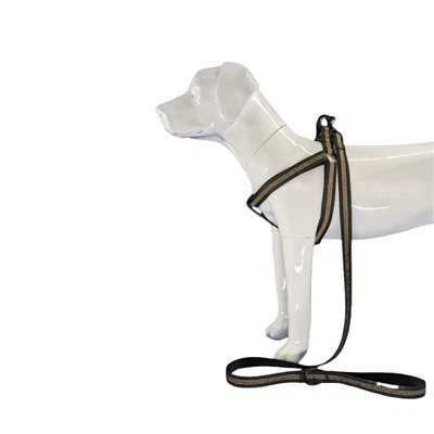 Šviesą atspindintys juodi šunų diržai