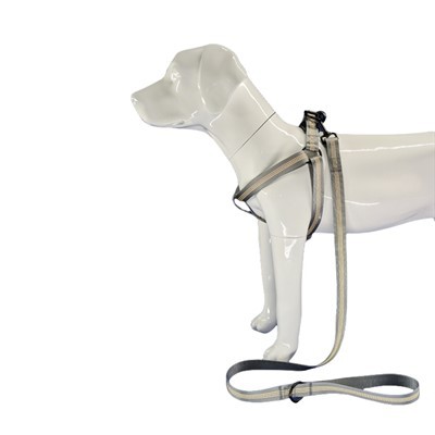 Šviesą atspindintys pilki šunų diržai