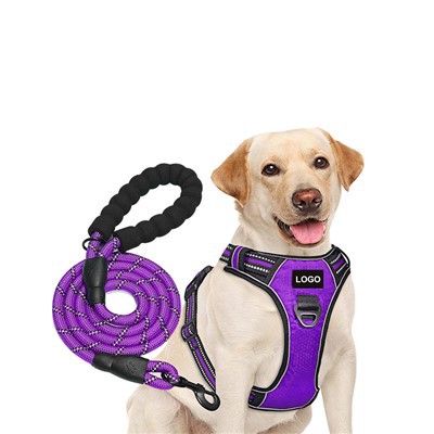 Suasmenintas logotipas šunų pavadėlių ir lynų komplektas