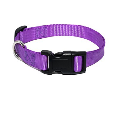 Antkakliai šunims ir katėms